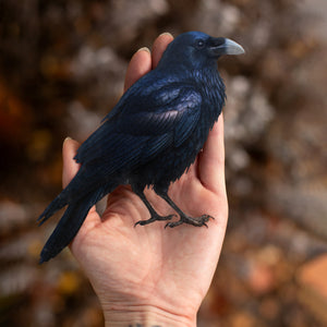 💫New💫 Large Raven - The Nocturne Collection