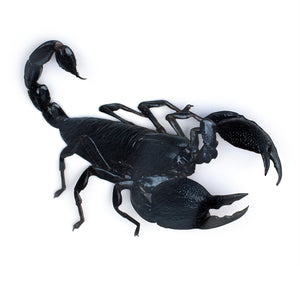 💫New💫 Large Scorpion - The Nocturne Collection