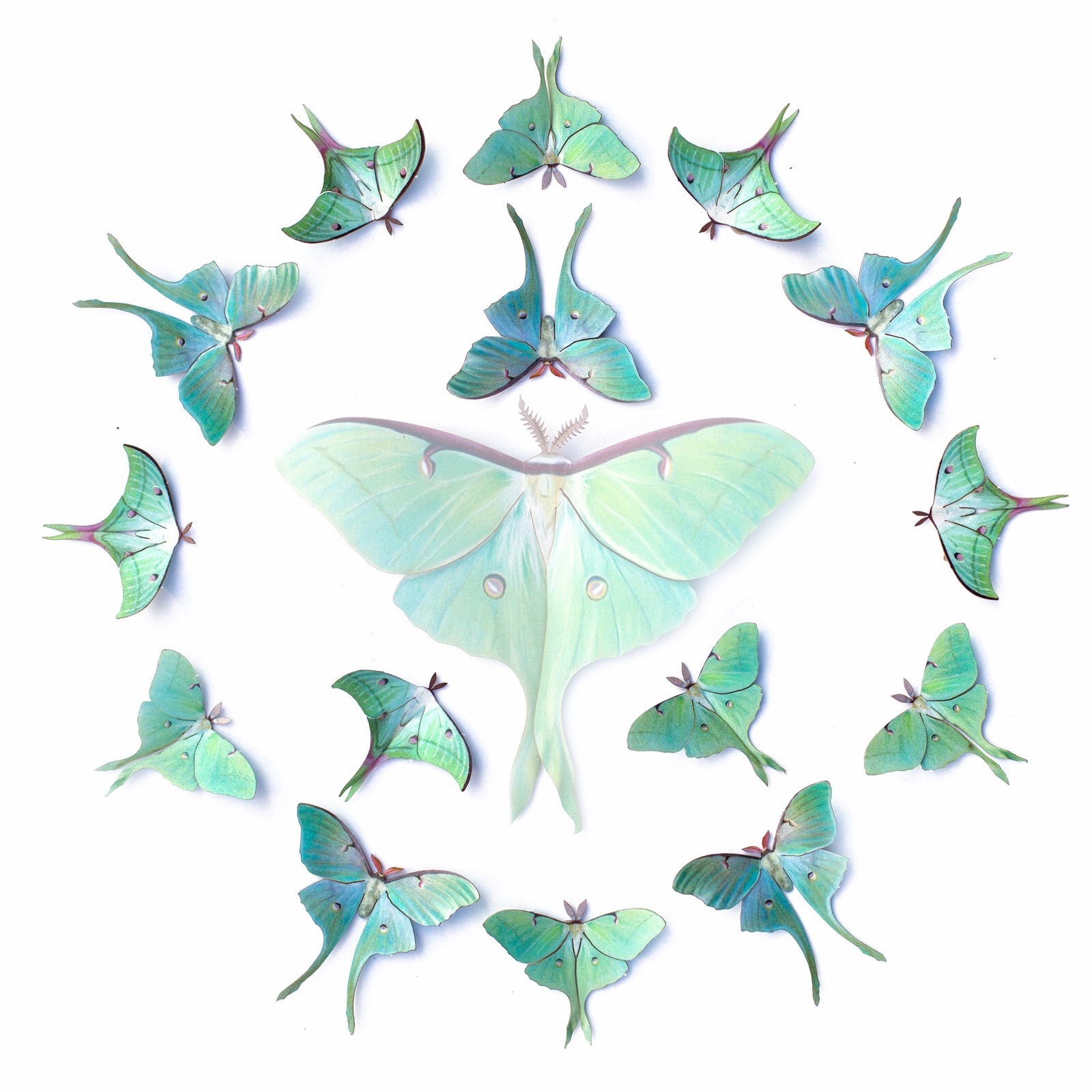 ⚡️New!⚡️ Mini Luna Collection