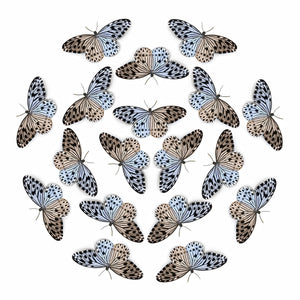 'Malabar Tree Nymph' Butterfly Multi-Pack