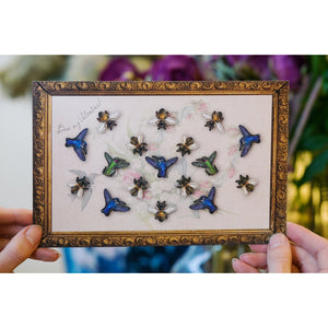 ⚡️Limited⚡️ Micro Birds and Bees Set - Artist Discount