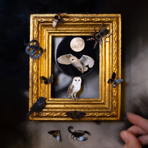 💫New💫 The Nocturne Collection Micros & Minis