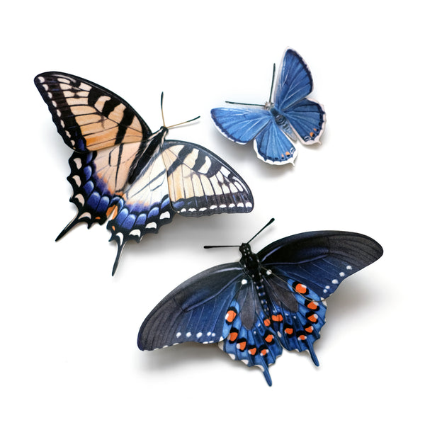 💫New💫'Midwest' Butterfly Set - Moth & Myth