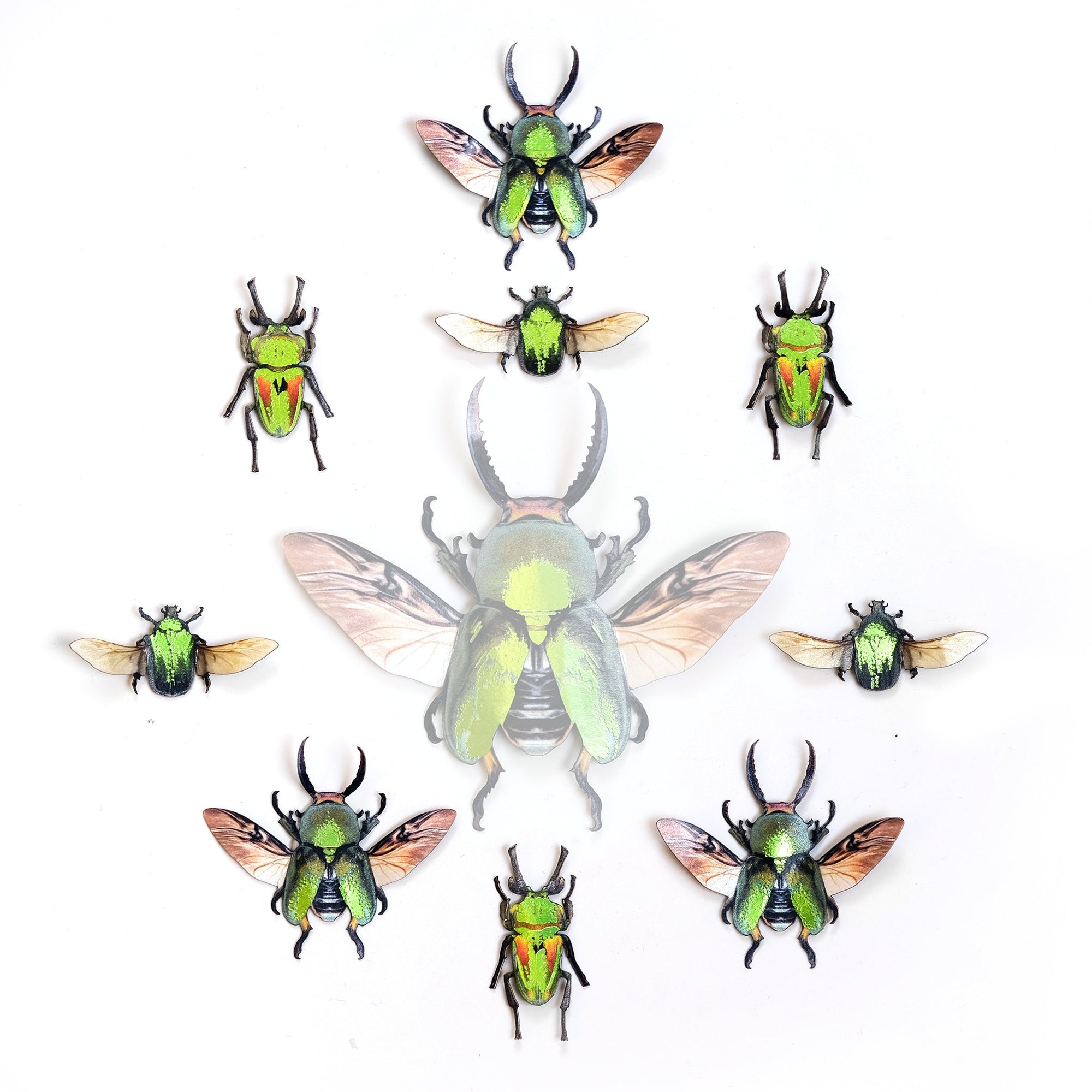 'Scuttle' Mini Beetle Set - Artist Discount