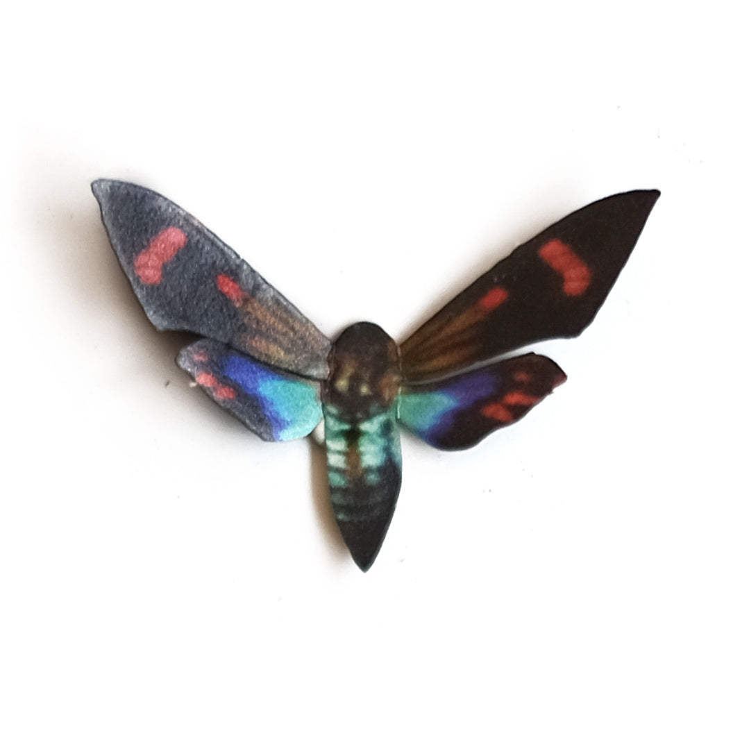 💫Halloween💫 'Mini Day-Flying Sphinx' Moth