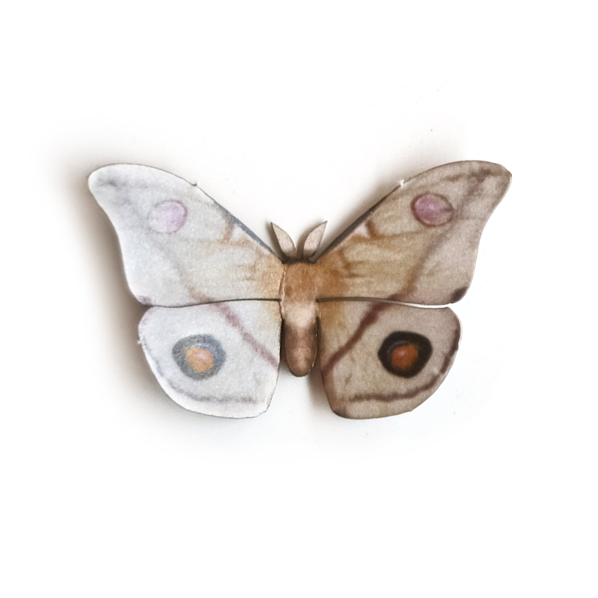 💫Halloween💫 'Mini Emperor Gum' Moth