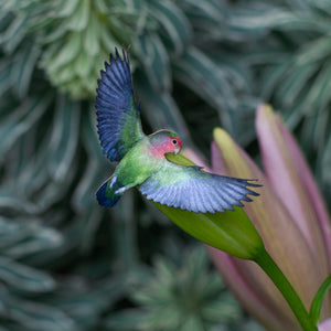 💫Limited!💫 'Love Birds' Mini Set