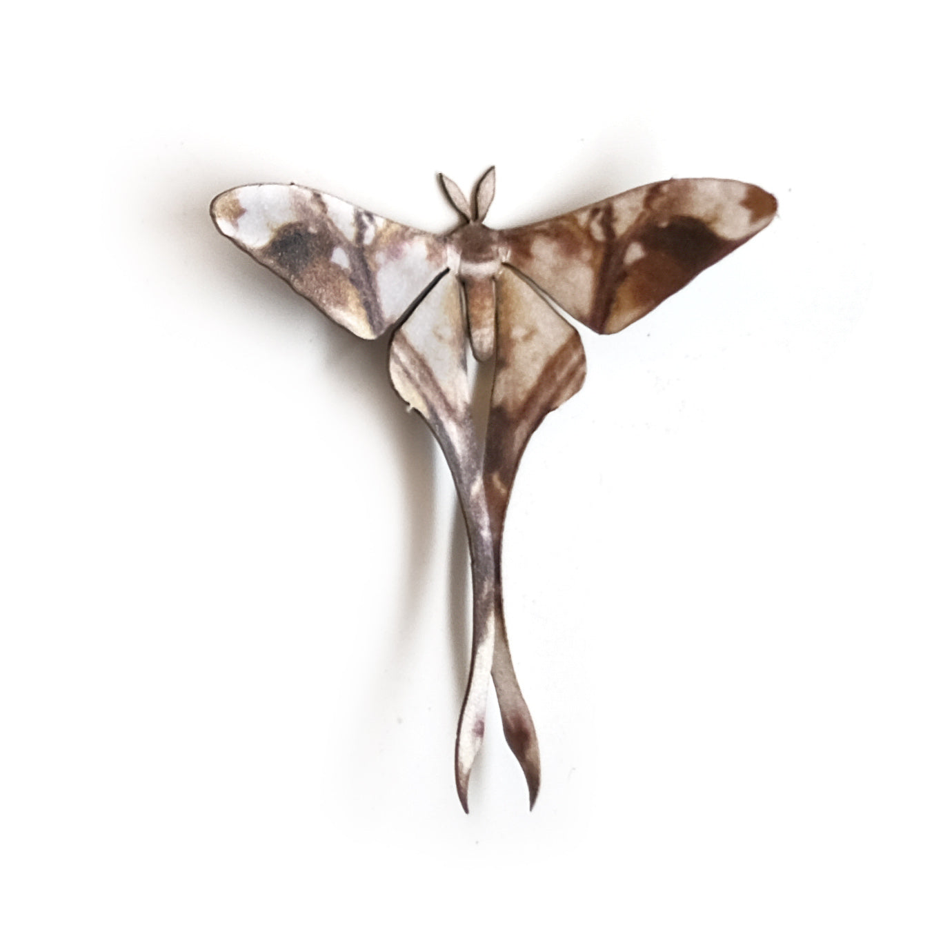 💫Halloween💫 'Mini Long Tailed Leaf' Moth