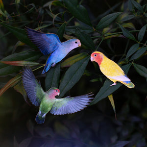 💫Limited!💫 'Love Birds' Mini Set