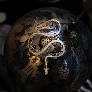 💫New💫 'Ouroboros' Mini Snake Skeleton Set - Artist Wholesale