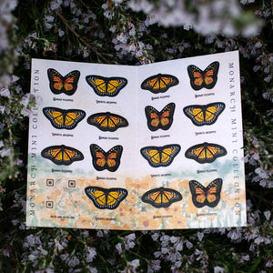 ⚡️New!⚡️ Mini Monarch Collection
