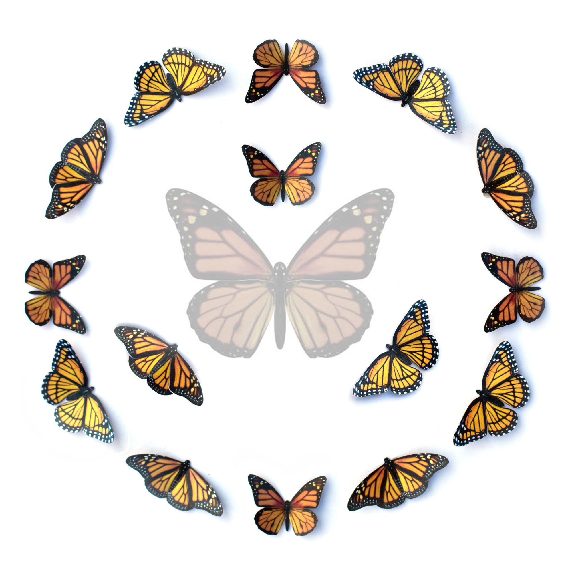 Mini Paper Monarch Multi Pack - Moth & Myth
