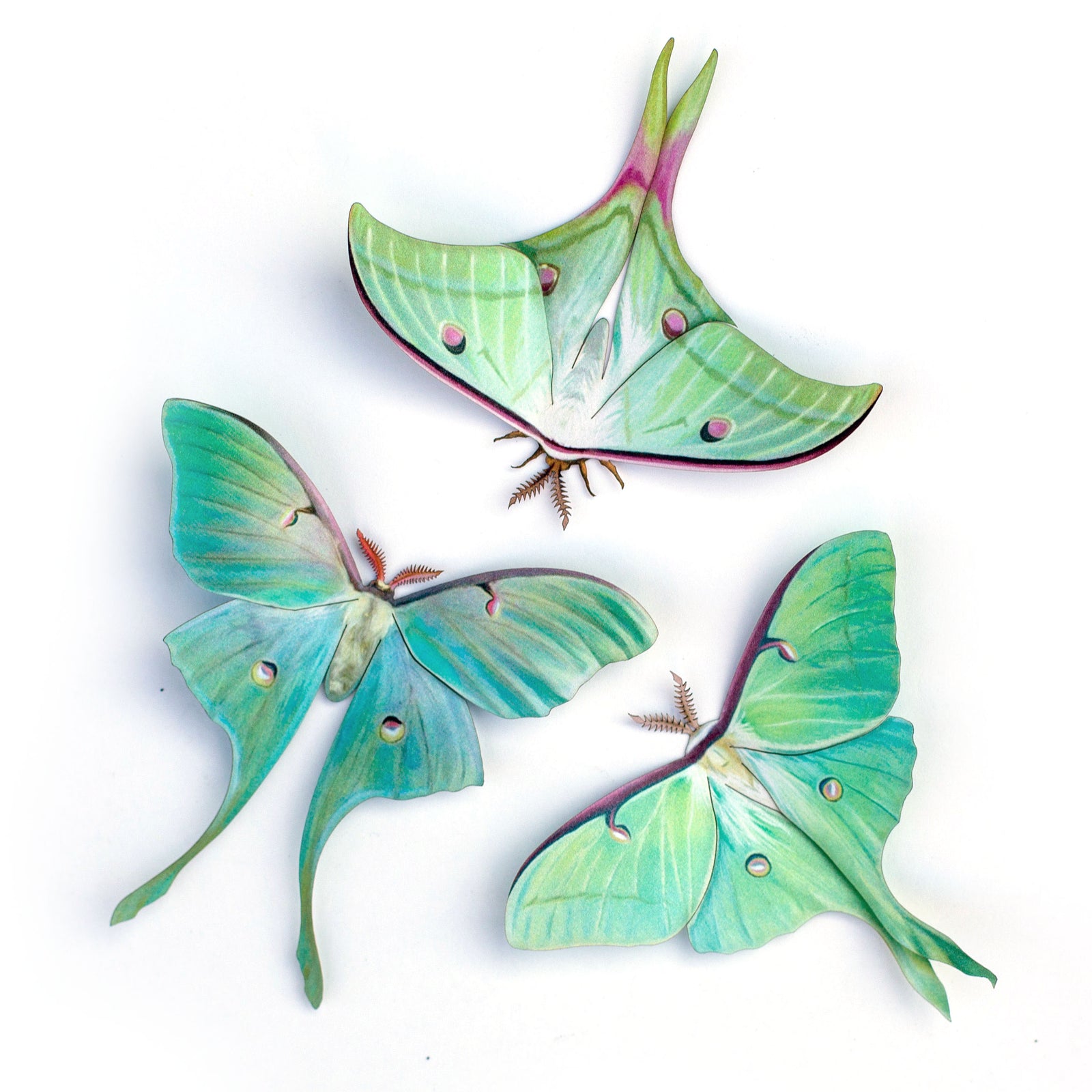💫New💫 ‘Moonwake’ Paper Luna Moth Set