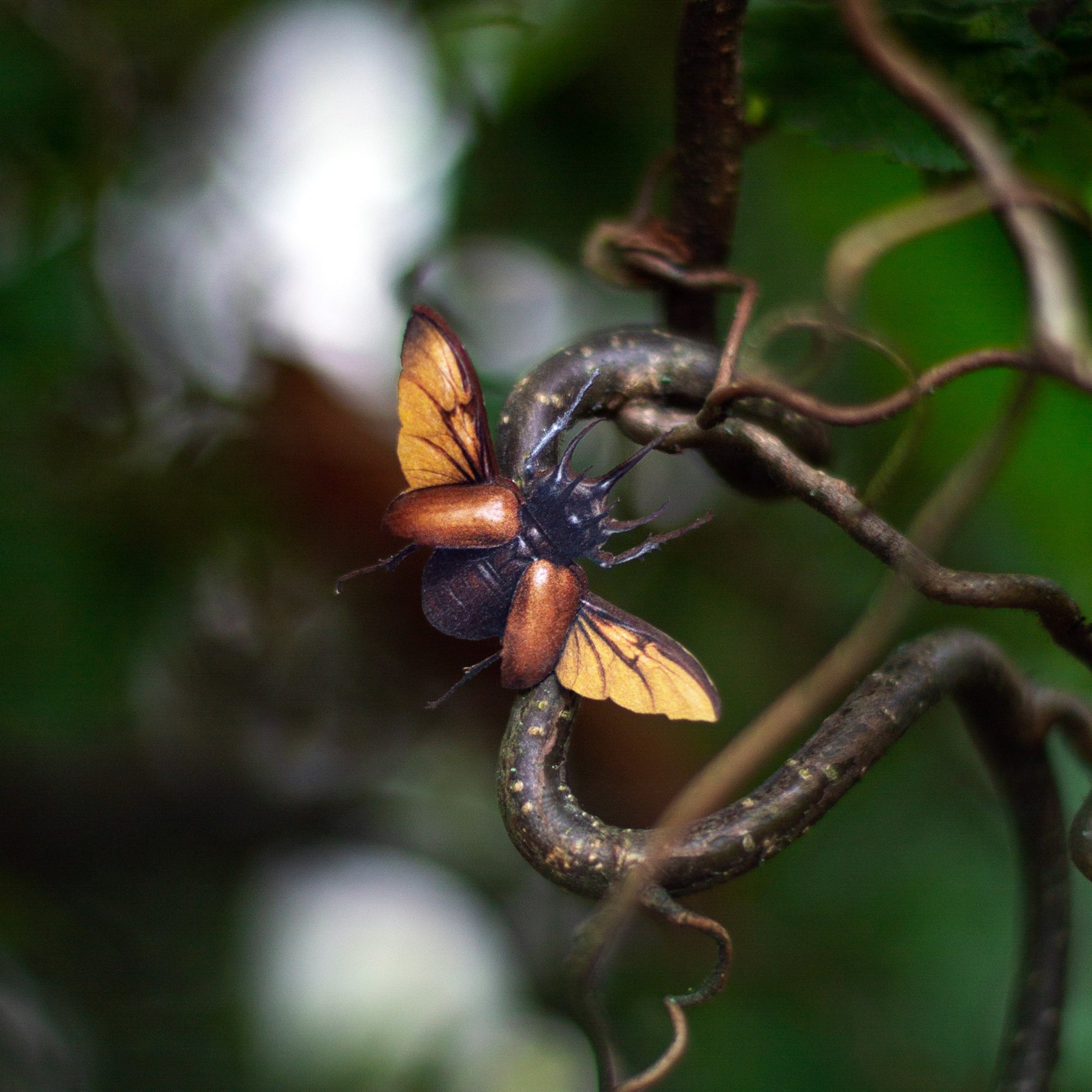 💫New💫 Omen - The Nocturne Collection