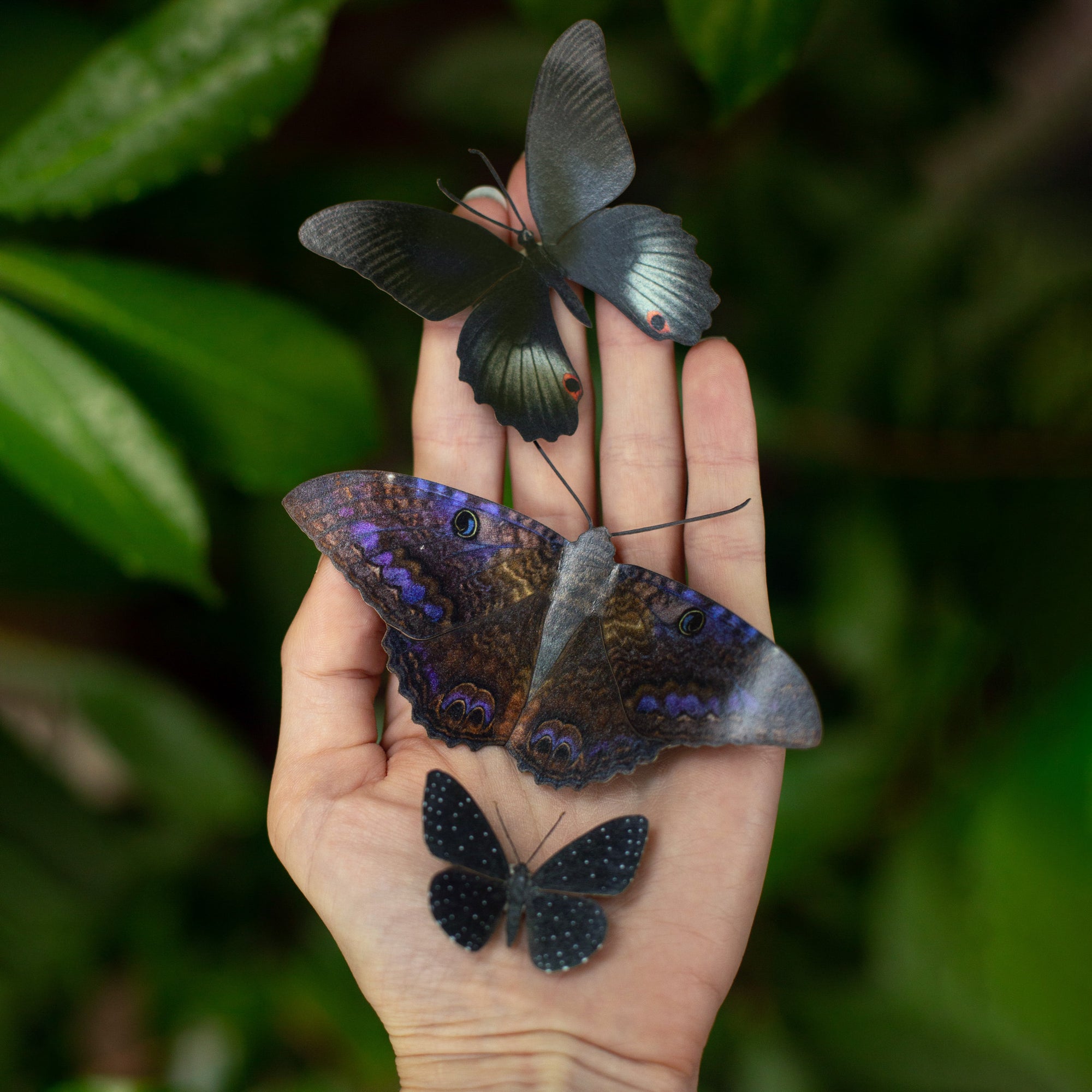 💫New💫 Spellbound - The Nocturne Collection