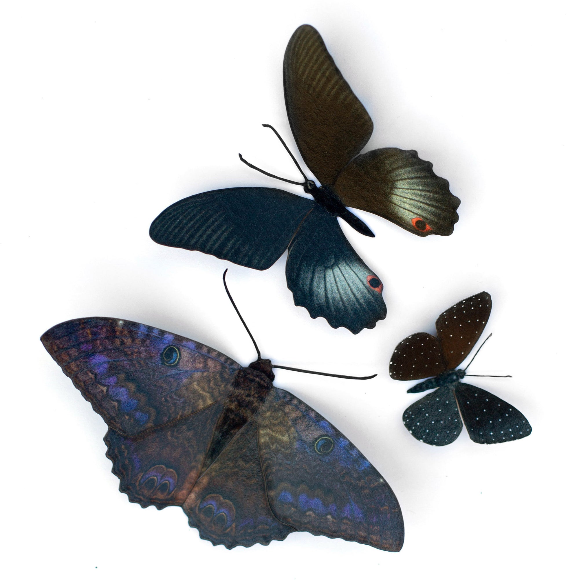 💫New💫 Spellbound - The Nocturne Collection