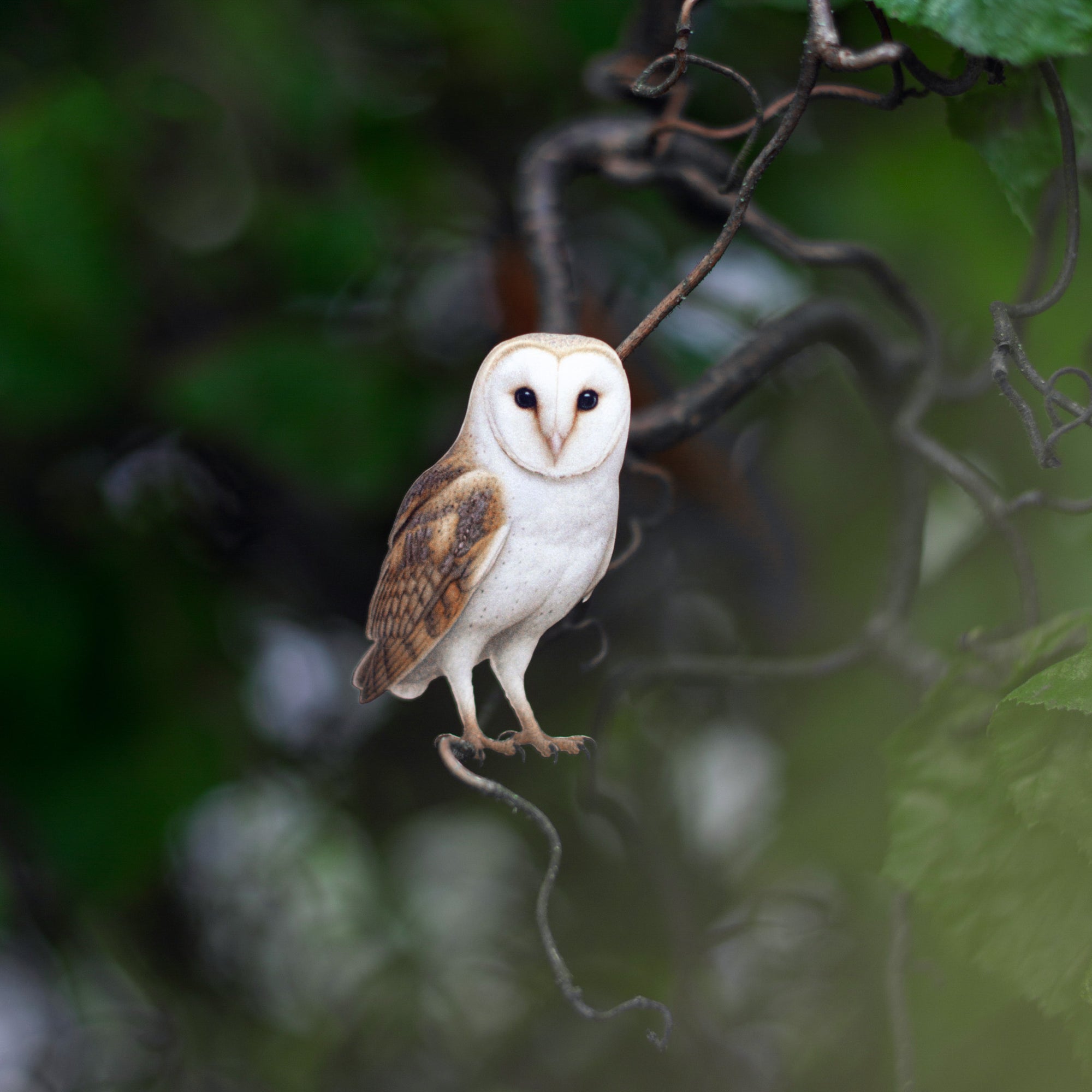💫New💫 Lunar Veil - The Nocturne Collection
