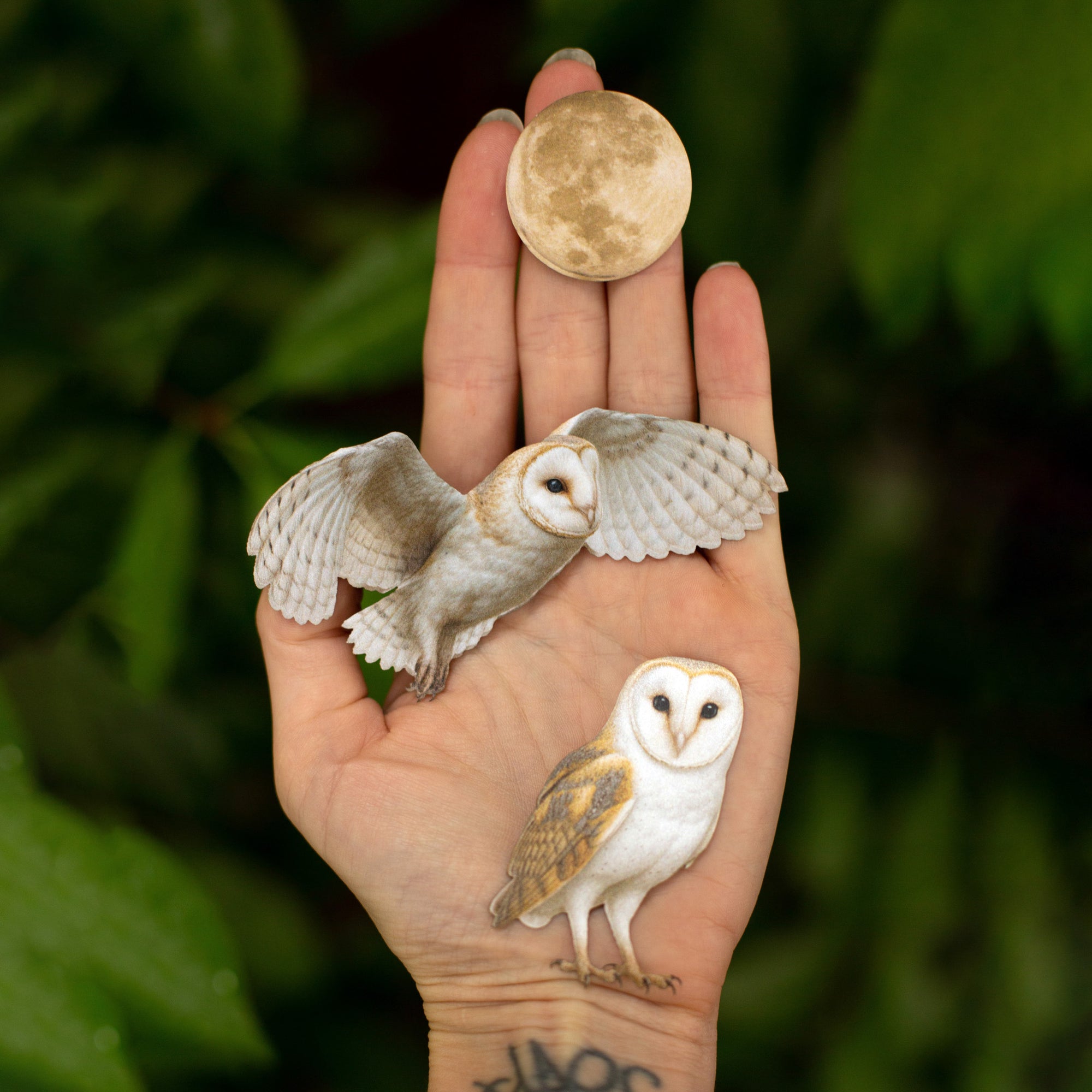 💫New💫 The Nocturne Collection