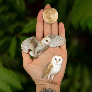 💫New💫 The Nocturne Collection