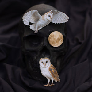 💫New💫 Lunar Veil - The Nocturne Collection