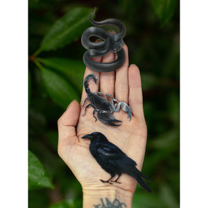 💫New💫 Obsidian - The Nocturne Collection