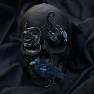 💫New💫 Obsidian - The Nocturne Collection