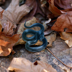💫New💫 Black Indigo Snakes - The Nocturne Collection