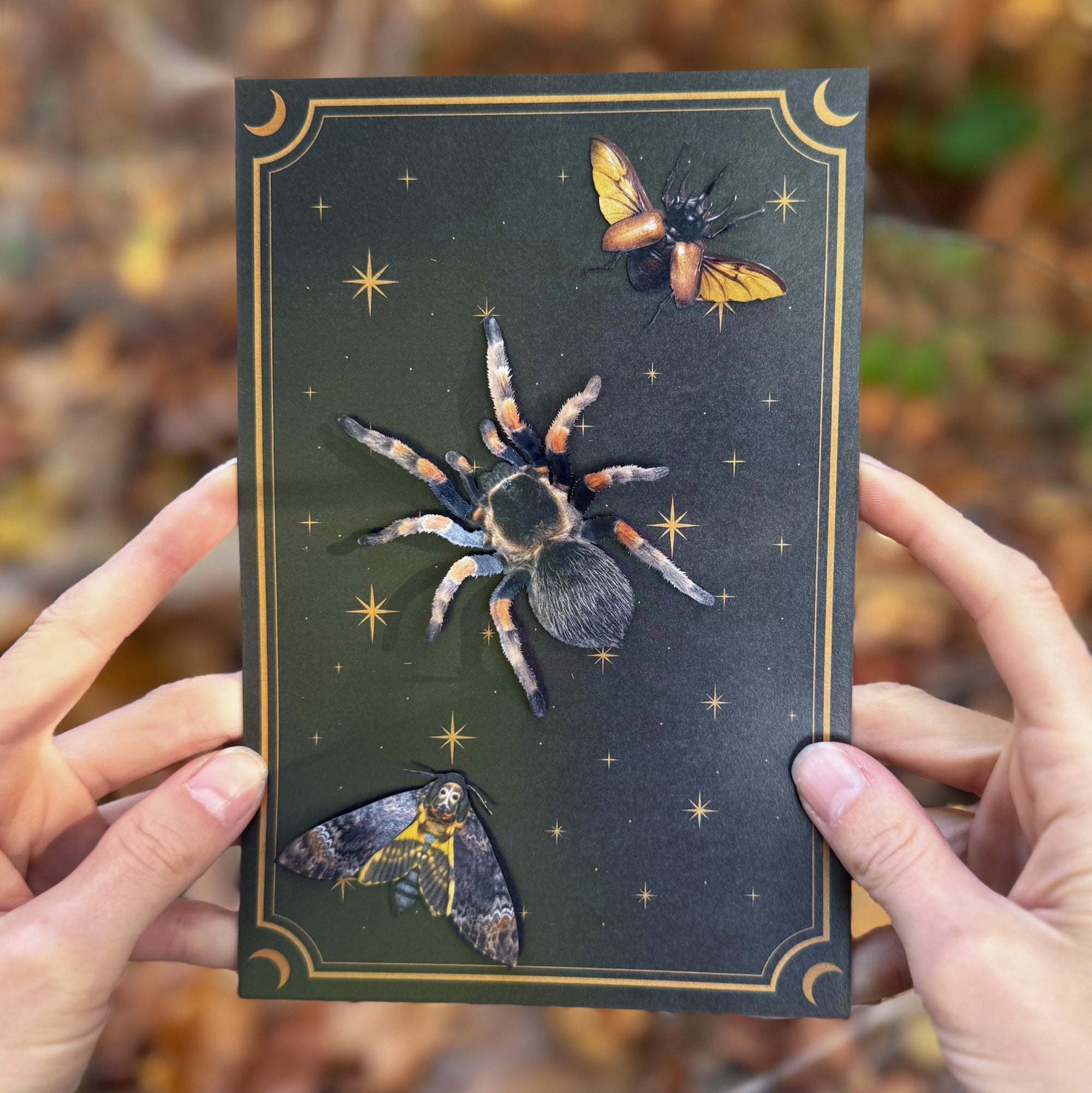 💫New💫 Omen - The Nocturne Collection