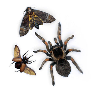 💫New💫 Omen - The Nocturne Collection