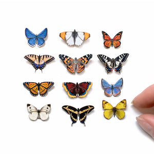 💫New💫 'North American' Butterfly Micro Collection - Artist Discount