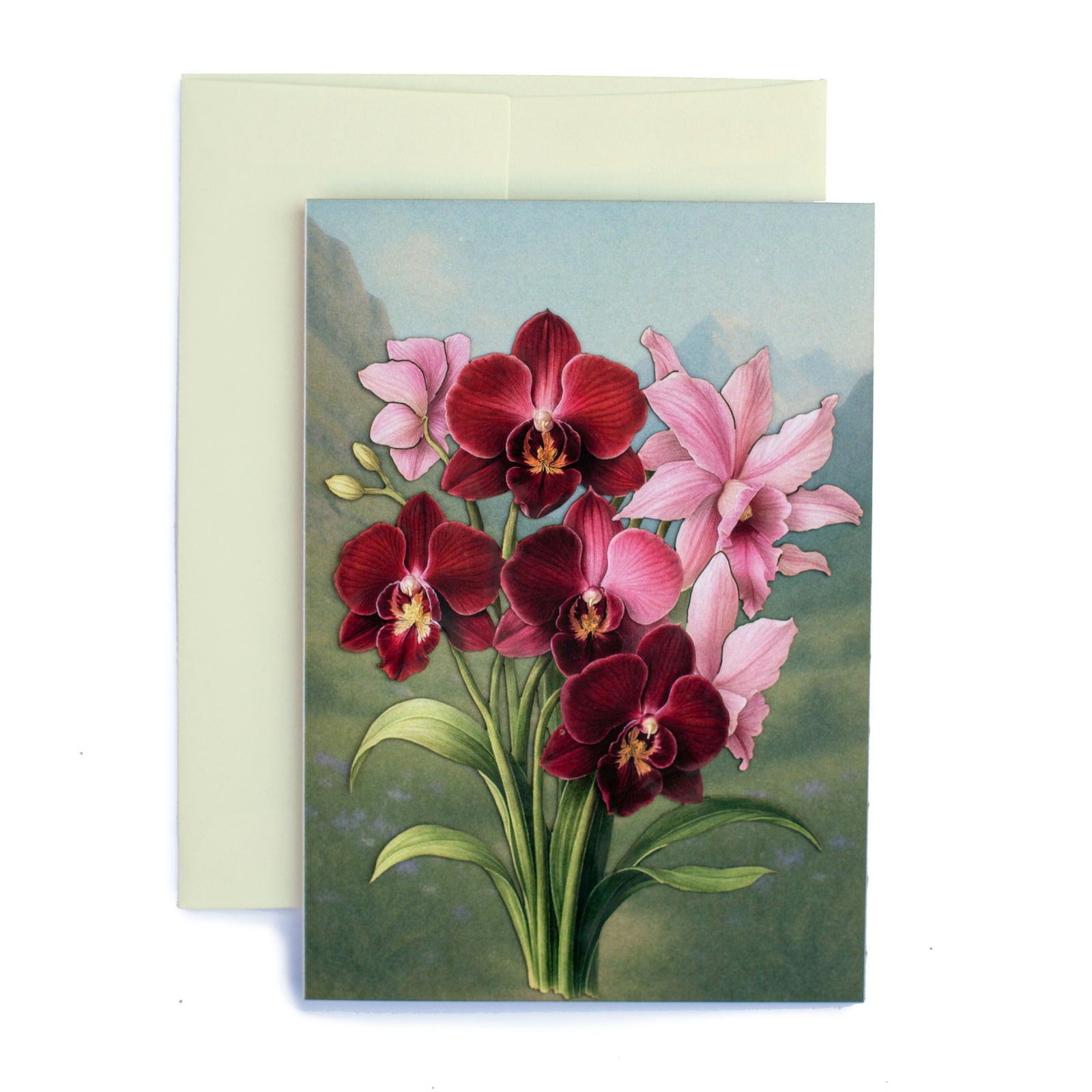 💫New💫 'Orchid' Greeting Cards - Set of 4 - Reseller Wholesale