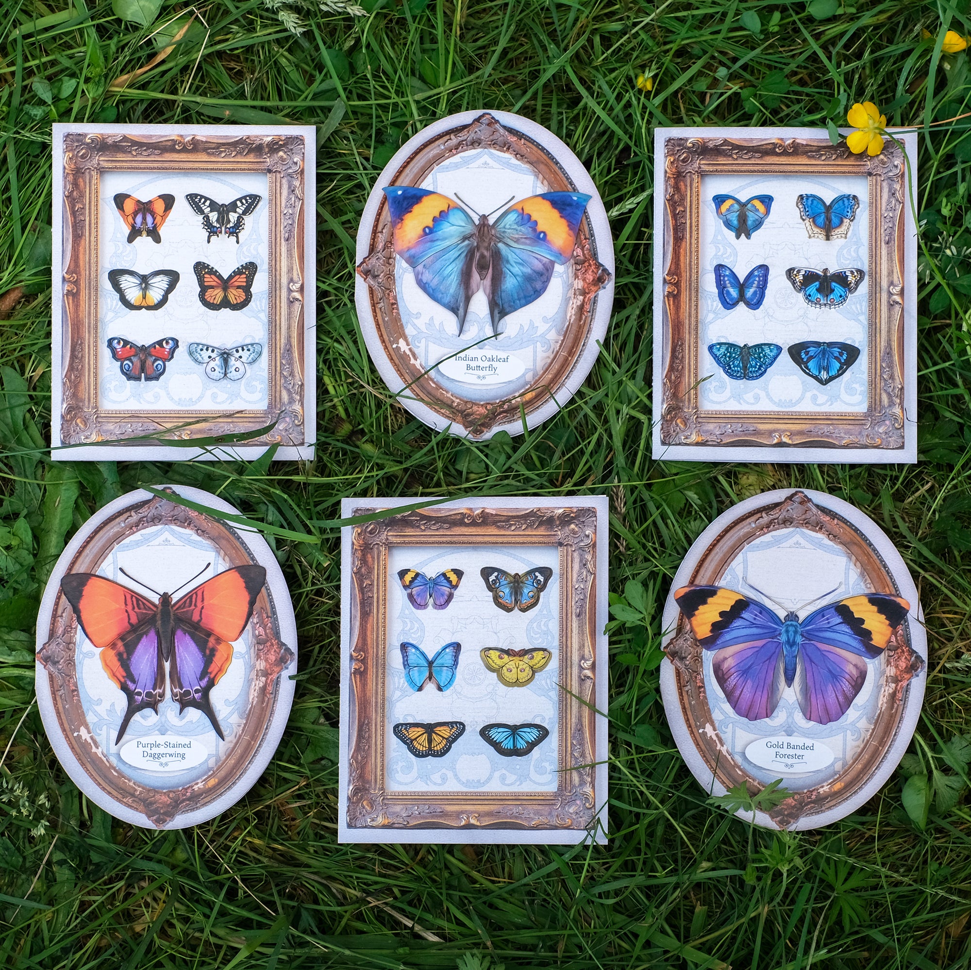'Dreamy' Mini Butterfly 'Pop-Out' Greeting Card - Set of 4 - Reseller Wholesale