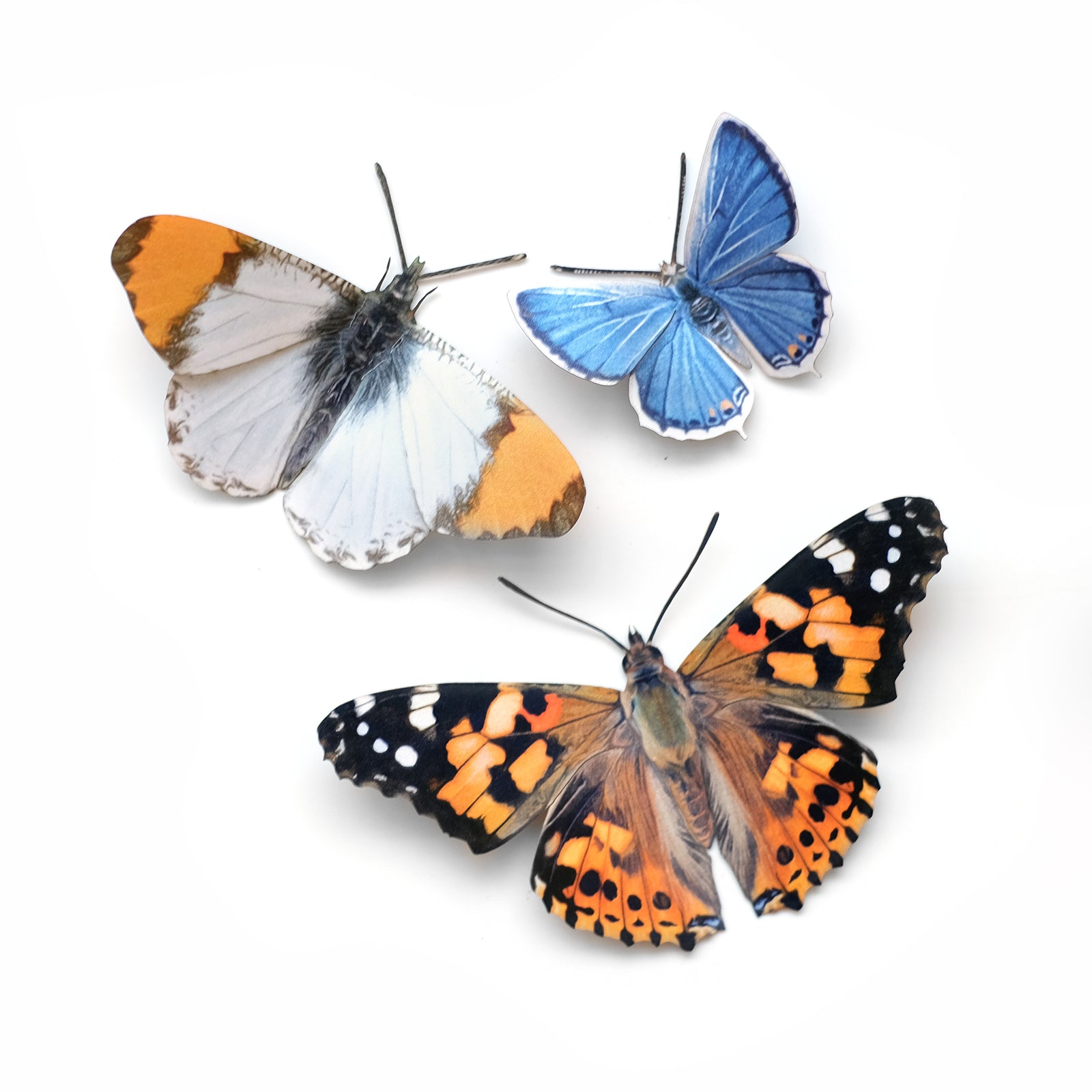 'Pacific Northwest' Butterfly Set - Reseller Wholesale