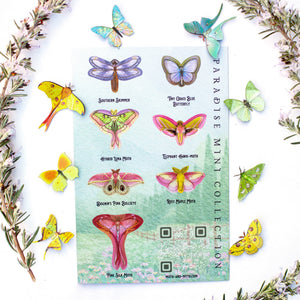 ⚡️New!⚡️ 'Paradise' Mini Collection