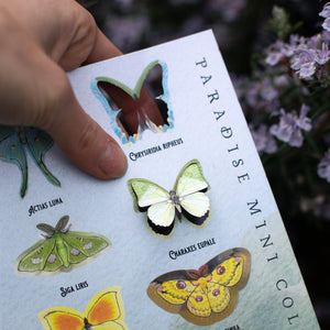 ⚡️New!⚡️ 'Paradise' Mini Collection