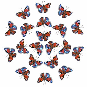 'Peacock' Butterfly Multi-Pack