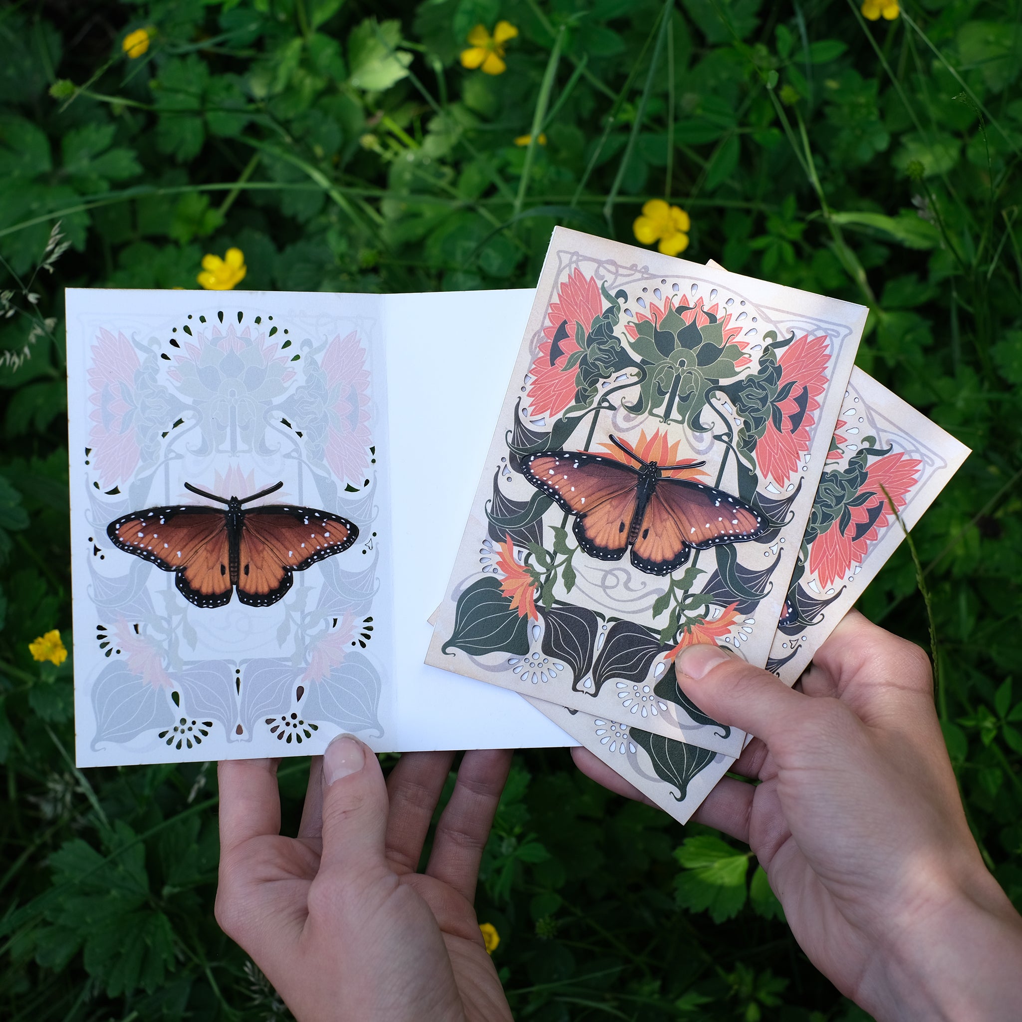 'Pollinator' Monarch Butterfly Greeting Cards with Removable Butterfli ...