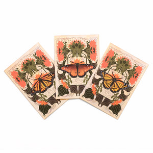 'Pollinator' Monarch Butterfly 'Pop-Out' Greeting Cards - Set of 3