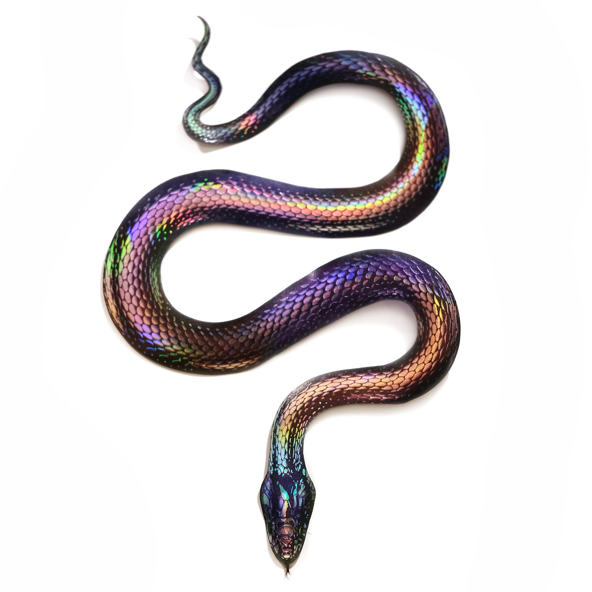 'Prism' Snake Set - Artist Discount