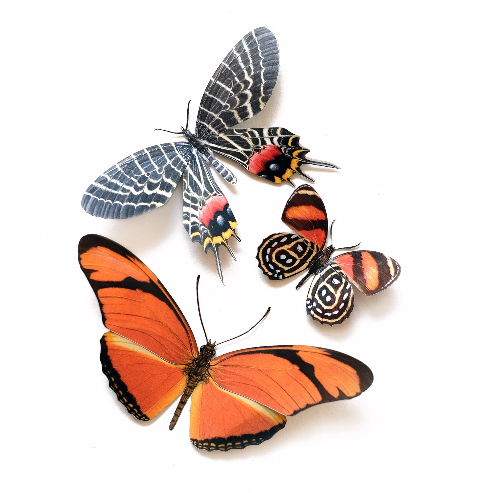 'Flower Child' Psychedelic Butterfly Set