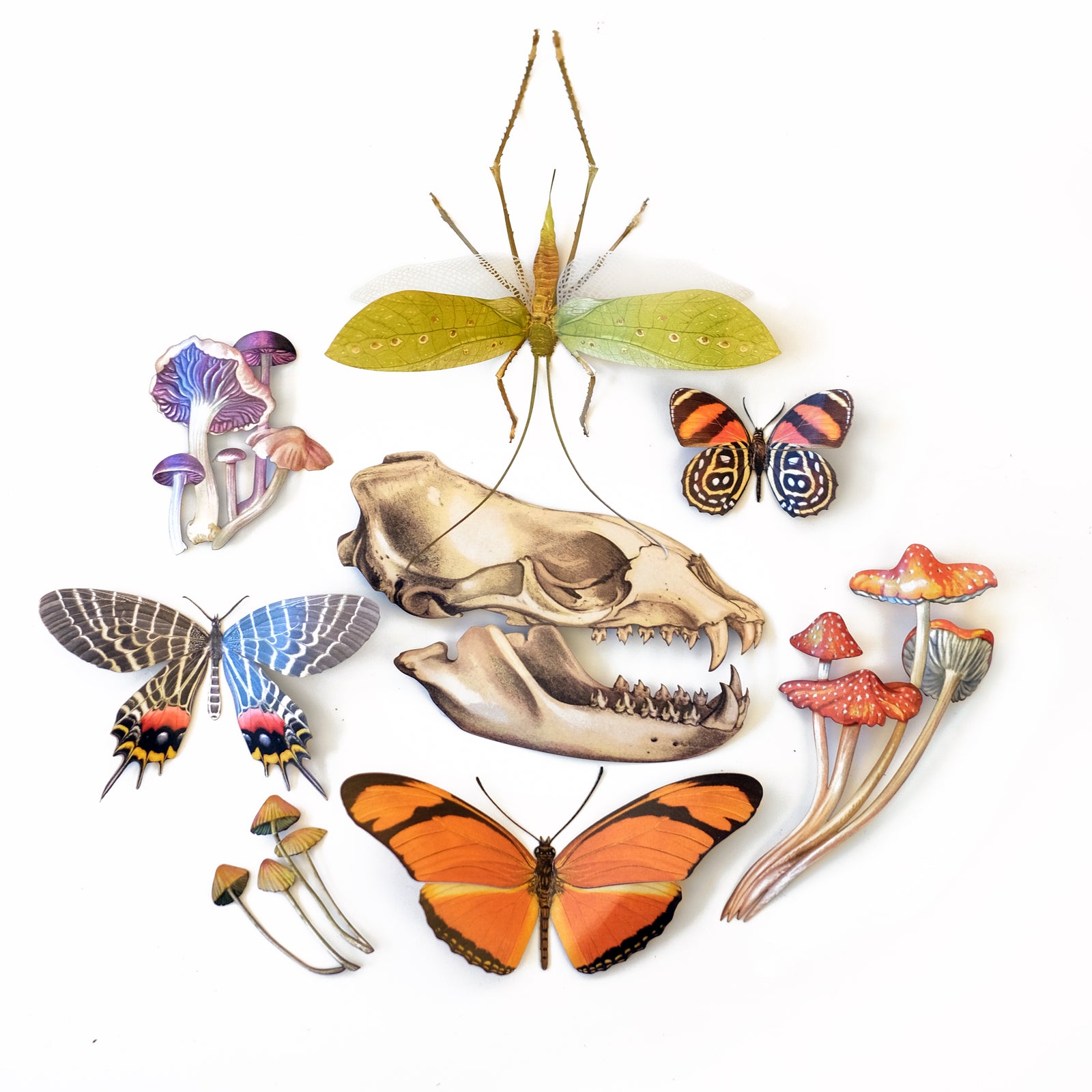 Psychedelic Collection