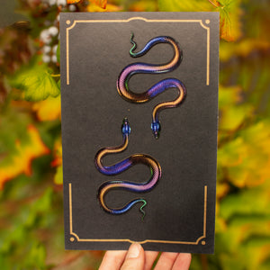 💫New💫 Rainbow Snakes - The Nocturne Collection
