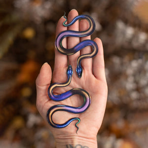 💫New💫 Rainbow Snakes - The Nocturne Collection