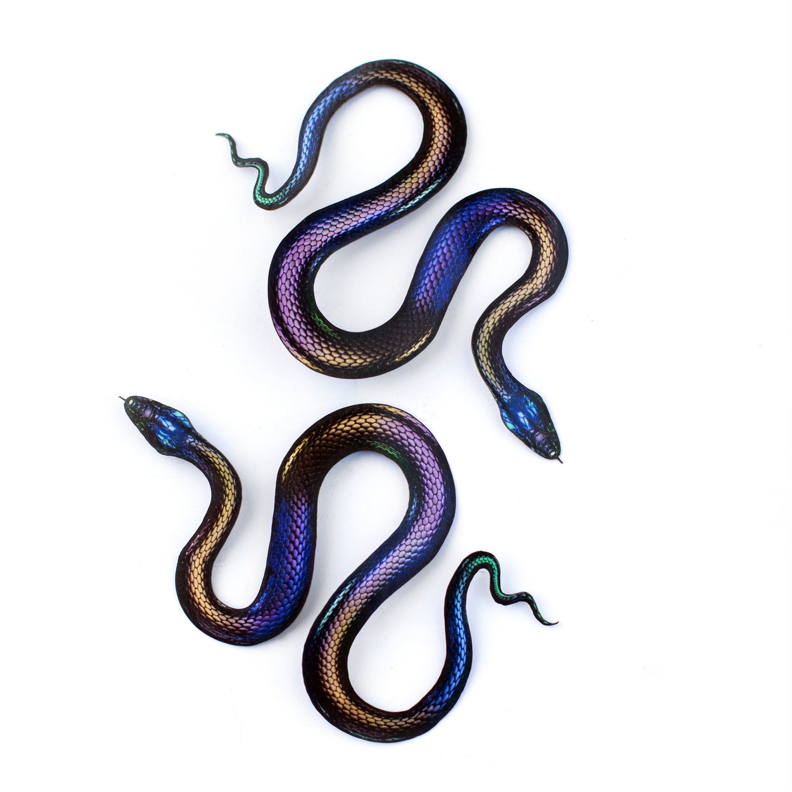 💫New💫 Rainbow Snakes - The Nocturne Collection