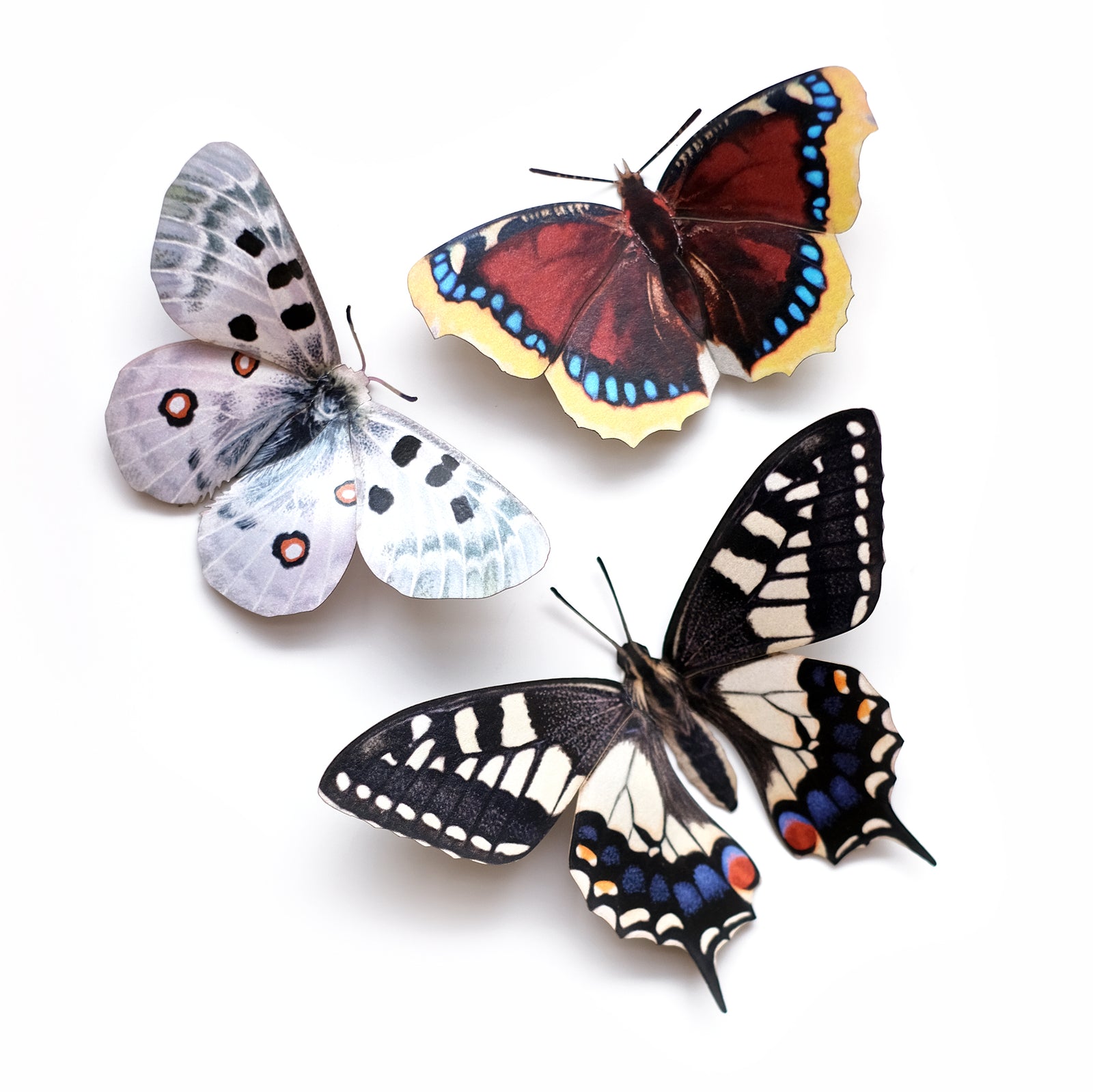 'Rocky Mountains' Butterfly Set - Reseller Wholesale