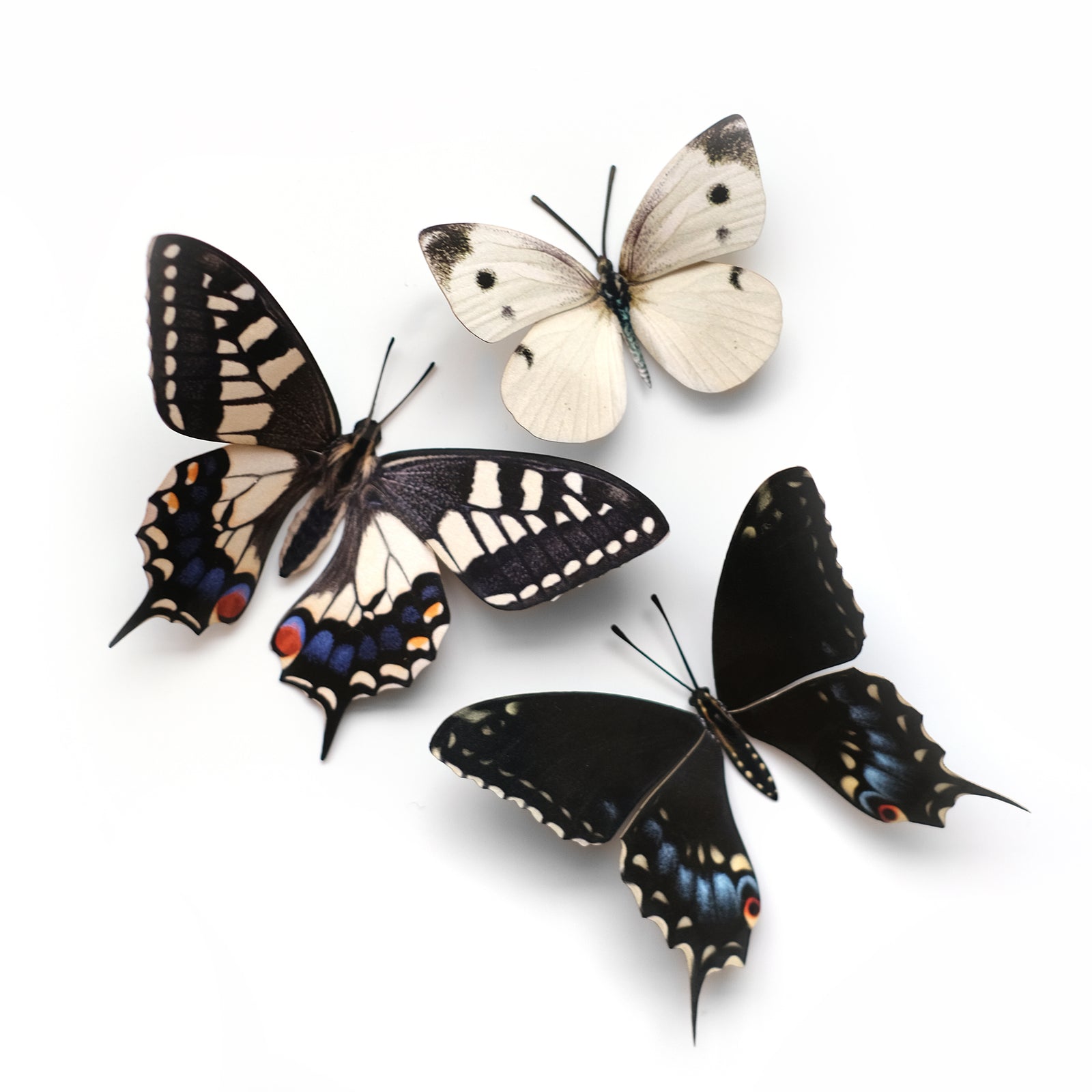 'Southwest' Butterfly Set - Reseller Wholesale