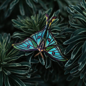 💫New💫 'Moonborn' Set