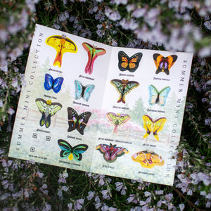 ⚡️New!⚡️ ’Summer' Mini Moth Collection