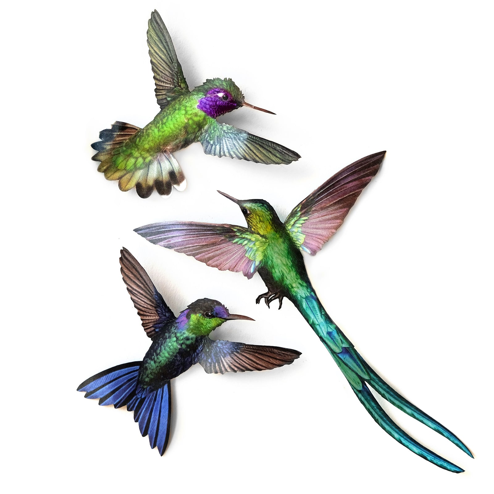 ’Sylph' Hummingbird Set