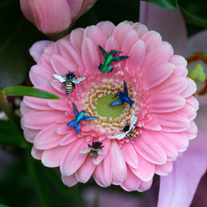 💫Limited!💫 'Birds & Bees' Teeny Tinies